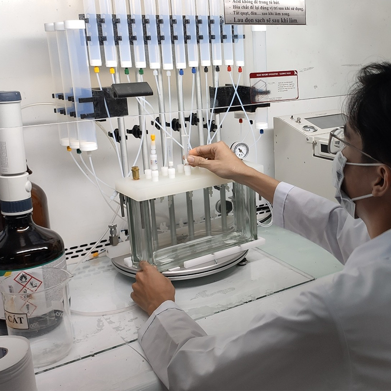 Các hoạt động
