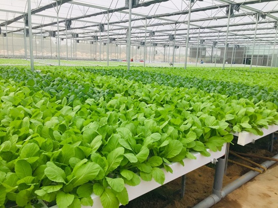 EVFTA tạo động lực giúp doanh nghiệp từng bước chuẩn hóa quy trình sản xuất
